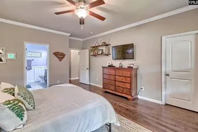 306 Hollow Cove Road, Chapin, SC 29036 - Photo 19
