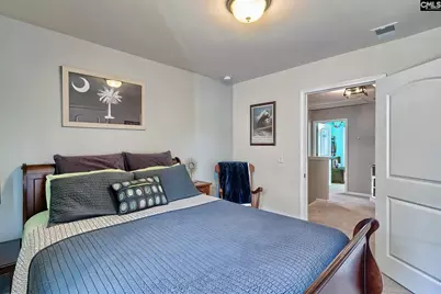 306 Hollow Cove Road, Chapin, SC 29036 - Photo 25