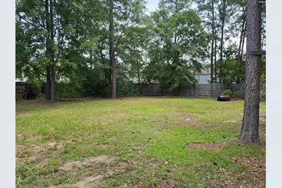 107 Sandy Path Lane, Lexington, SC 29073 - Photo 13