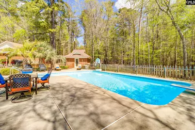 325 Derrick Lane, Blythewood, SC 29016 - Photo 29