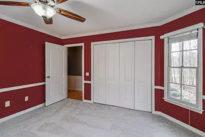 325 Derrick Lane, Blythewood, SC 29016 - Photo 67