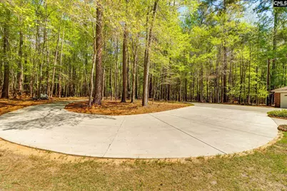 325 Derrick Lane, Blythewood, SC 29016 - Photo 5