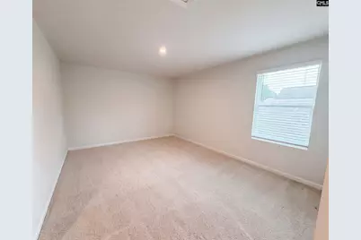 1165 Eagleston Way, Blythewood, SC 29016 - Photo 11