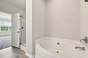 223 Cassique Dr, Lexington, SC 29073 - Photo 17