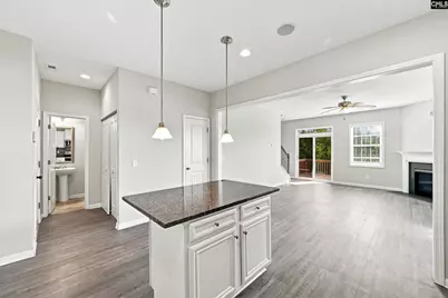 223 Cassique Drive, Lexington, SC 29073 - Photo 9