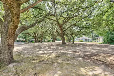 3819 Prentice Avenue, Columbia, SC 29205 - Photo 19