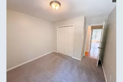 153 Courtney Oak Drive, West Columbia, SC 29170 - Photo 17