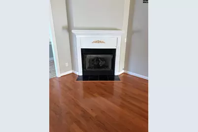 216 Powell Drive, Lexington, SC 29072 - Photo 7