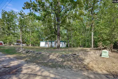 102 Hideaway Cove Court, Gilbert, SC 29054 - Photo 5