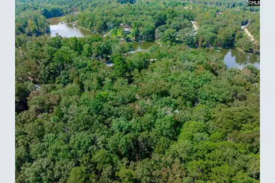 102 Hideaway Cove Court, Gilbert, SC 29054 - Photo 9