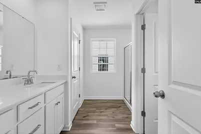 733 Ben Gunn Run, Gilbert, SC 29054 - Photo 29