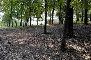 1448 Hwy Church Rd, Elgin, SC 29045 - Photo 11