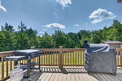 2215 Porter Road, Cassatt, SC 29032 - Photo 47