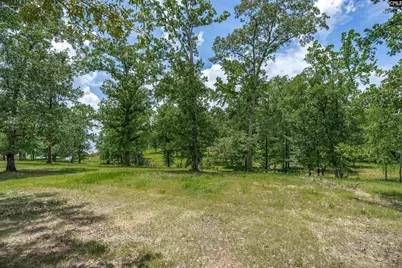 165 Saint Thomas Church Road, Chapin, SC 29036 - Photo 75
