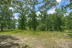 165 St Thomas Church Rd, Chapin, SC 29036 - Photo 75