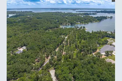 165 Saint Thomas Church Road, Chapin, SC 29036 - Photo 91