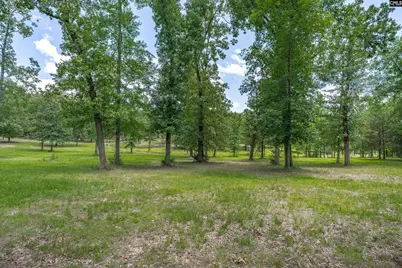 165 Saint Thomas Church Road, Chapin, SC 29036 - Photo 45