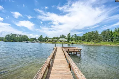 165 Saint Thomas Church Road, Chapin, SC 29036 - Photo 29