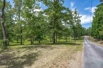 165 Saint Thomas Church Road, Chapin, SC 29036 - Photo 37