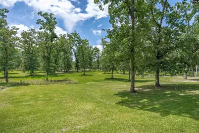165 Saint Thomas Church Road, Chapin, SC 29036 - Photo 41