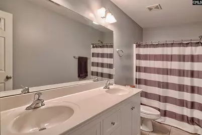 256 Mary Drive, Chapin, SC 29036 - Photo 33