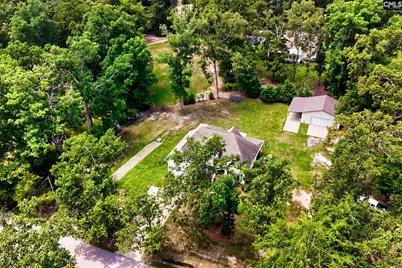 256 Mary Drive, Chapin, SC 29036 - Photo 41