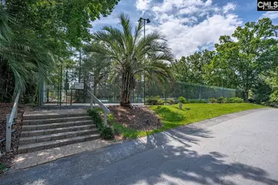 1441 Old Chapin Road 722, Lexington, SC 29072 - Photo 23