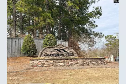 175 Savannah Hills Drive, Lexington, SC 29073 - Photo 27