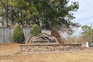 175 Savannah Hills Dr, Lexington, SC 29073 - Photo 27