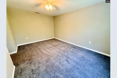 612 Edisto Lake Road, Wagener, SC 29164 - Photo 33