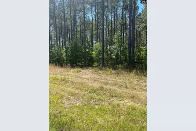 Sda 1 Salley Road #SDA 1, Salley, SC 29137 - Photo 3