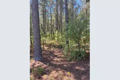 Sda 1 Salley Road #SDA 1, Salley, SC 29137 - Photo 7