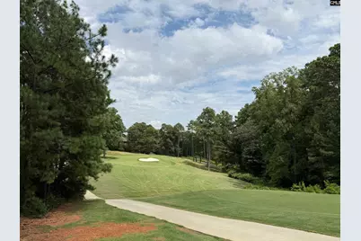 122 Peppermint Lane, Blythewood, SC 29016 - Photo 3