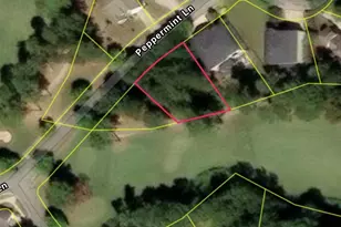 122 Peppermint Ln, Blythewood, SC 29016 - Photo 19