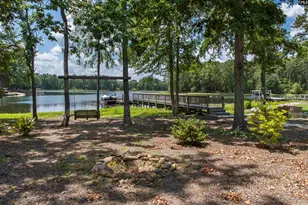 401 Bent Oak Ct, Chapin, SC 29036 - Photo 59