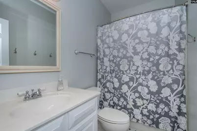 401 Bent Oak Court, Chapin, SC 29036 - Photo 49