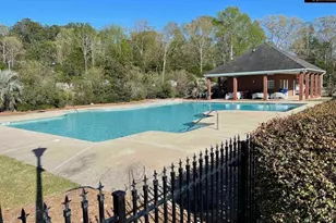 401 Bent Oak Ct, Chapin, SC 29036 - Photo 75