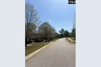 108 Black Walnut Drive, Lexington, SC 29072 - Photo 33