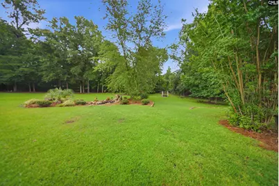 11 Saints Creek Court, Irmo, SC 29063 - Photo 47