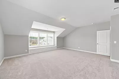 2360 Hadley Crossing, Chapin, SC 29036 - Photo 53