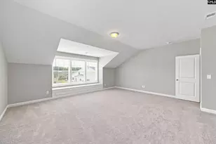 2360 Hadley Xing, Chapin, SC 29036 - Photo 53