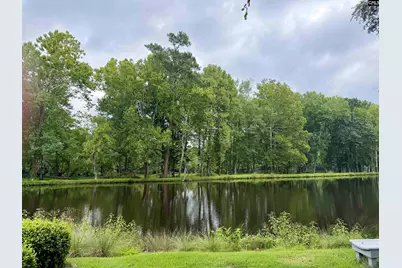 227 Blackhaw Terrace, West Columbia, SC 29169 - Photo 7