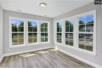 706 Coriander Road, Blythewood, SC 29016 - Photo 11