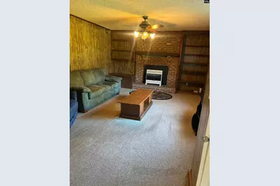 145 Harvey Berry Road, Pelion, SC 29123 - Photo 3