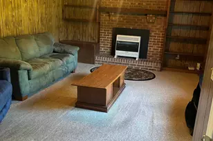145 Harvey Berry Rd, Pelion, SC 29123 - Photo 3