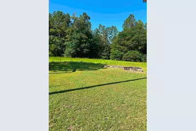 145 Harvey Berry Road, Pelion, SC 29123 - Photo 21
