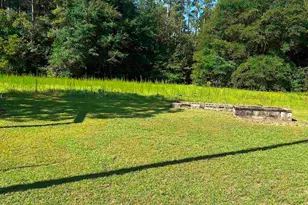 145 Harvey Berry Rd, Pelion, SC 29123 - Photo 21