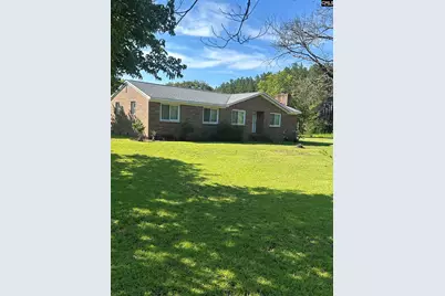 145 Harvey Berry Road, Pelion, SC 29123 - Photo 1