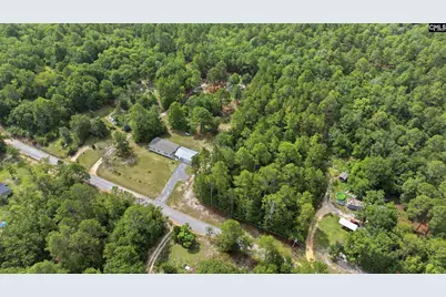 318 Catherine Drive, Pelion, SC 29123 - Photo 39