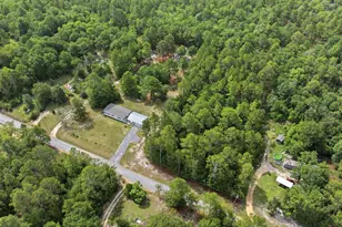 318 Catherine Dr, Pelion, SC 29123 - Photo 39